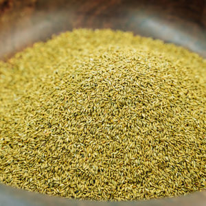 Mombasa Seeds Uncoated (1kg)